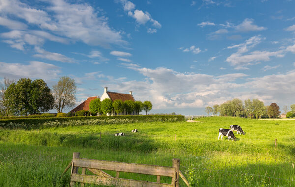 Contabilità Aziende Agricole